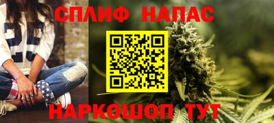 прущие грибы Малгобек