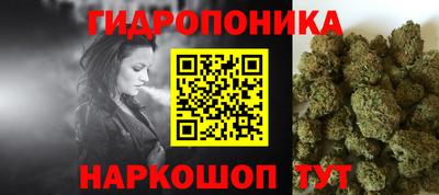 прущие грибы Малгобек