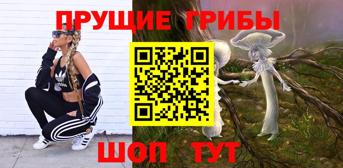 Галлюциногенные грибы мухоморы Губкин