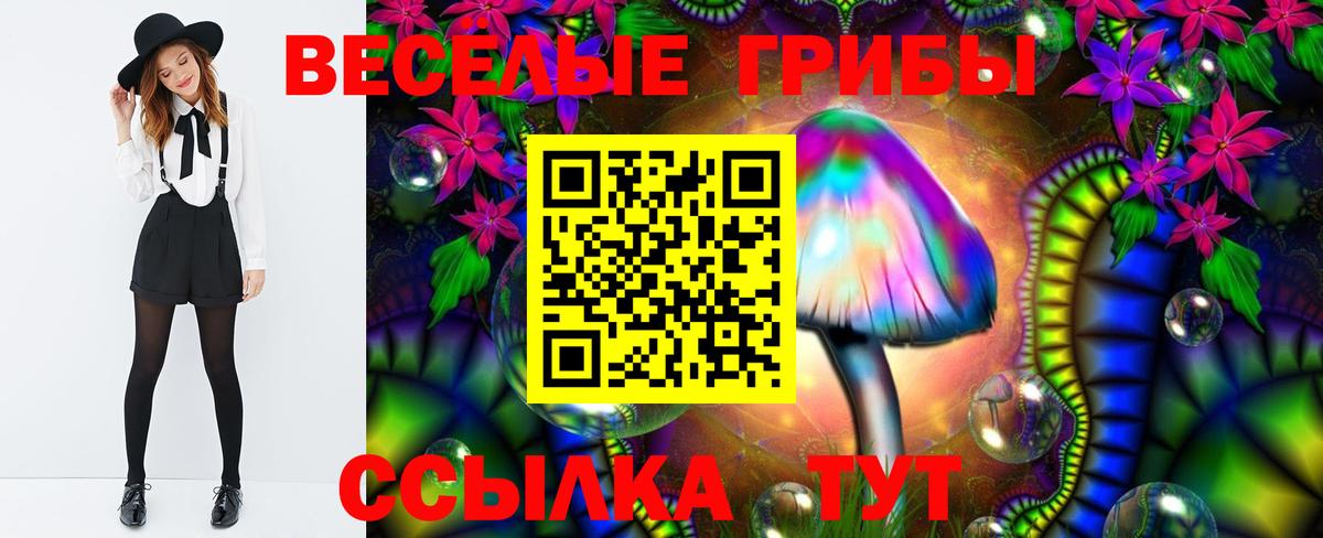 Псилоцибиновые грибы мухоморы  Псилоцибиновые грибы MAGIC MUSHROOMS  Вход с VPN  Губкин 