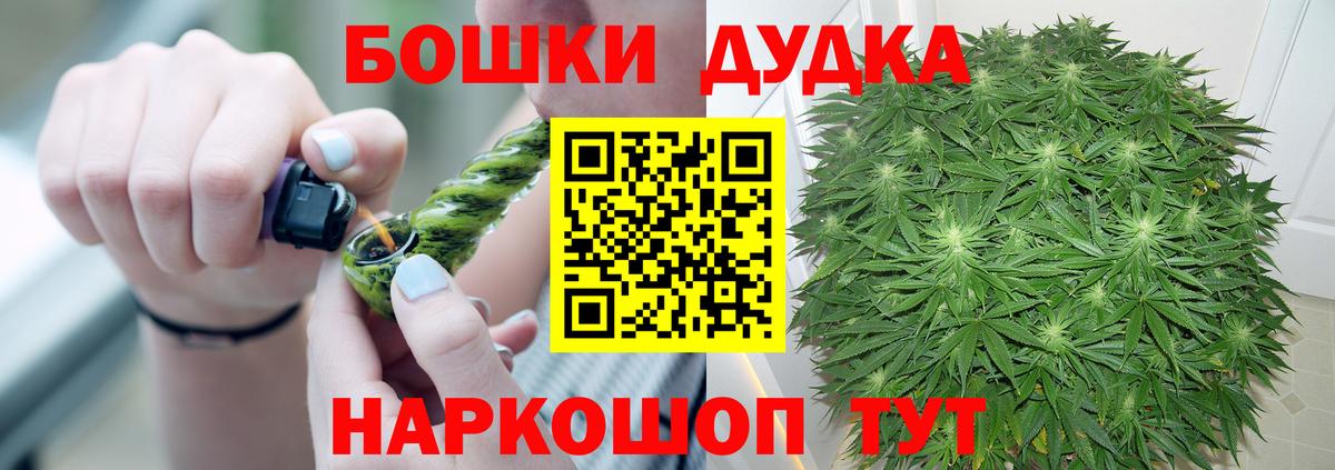 Каннабис сатива Губкин